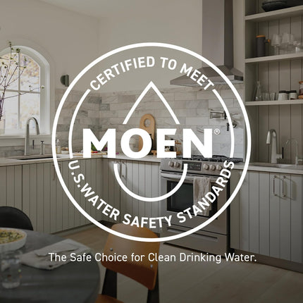 Moen Renzo Spot Resist Stainless One-Handle Pullout Kitchen & Laundry Faucet with Power Clean – CA87316SRS